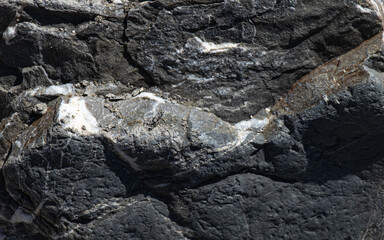 Stone texture
