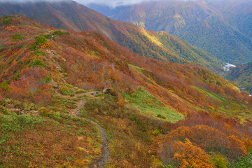 秋の群馬県 谷川岳天神峠展望台から天神尾根、谷川岳ロープウェイ土合口駅方面を見る