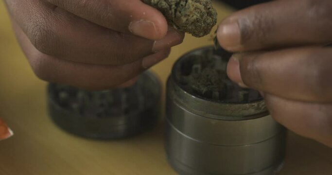 Putting weed in grinder