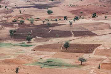 Beautiful agricultural landscape with traditional ethiopian fields near city Gondar, under ruins of Guzara palace. Amhara region. Ethiopia, Africa. - obrazy, fototapety, plakaty