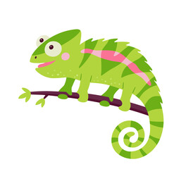 Funny chameleon lizard character. Green reptile with curved tail sitting on branch of jungle tree. Isolated vector illustration on white background.