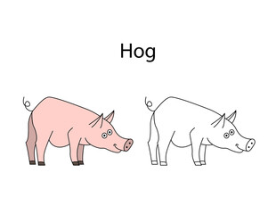 Funny cute animal hog isolated on white background. Linear, contour, black and white and colored version. Illustration can be used for coloring book and pictures for children