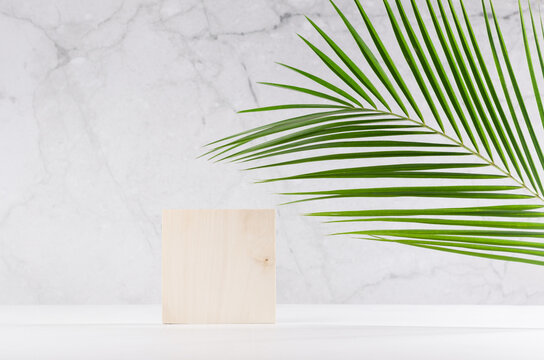 Wooden square podium with green palm leaf, shadow in elegant white interior with grey marble wall in sun light for cosmetics product display.