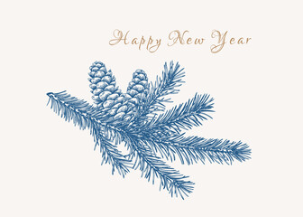 Winter card with fir branch and cones. Blue and gold.