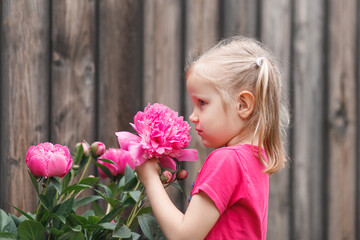 Fototapeta premium Little girl in a pink T-shirt sniffs a pink peony. Blonde child near a pink flower in the garden.