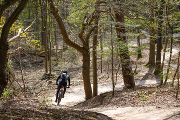 Mountain biker descending a sand track into the woods in the beginning of spring, as seen from the back.