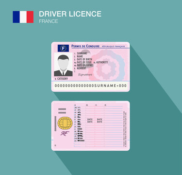 French car driver license identification. Flat vector illustration template. France.