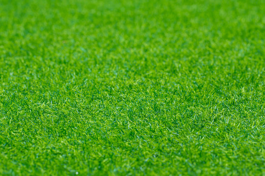 Green grass texture for golf course, soccer field or sports background. Concept design of Artificial green grass for design with copy space for add text or image.