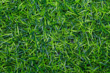 Green grass texture for golf course, soccer field or sports background. Concept design of Artificial green grass for design with copy space for add text or image.