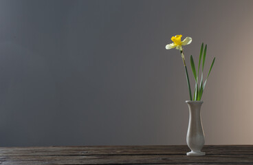 yellow narcissus  in vase on wooden table on dark background