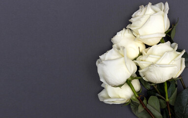Postcard. White roses on a grey background. Congratulations on March 8, Valentine's Day, Mother's Day, Birthday, Anniversary, Wedding, Teacher's Day, to women. Copy space.Flatly