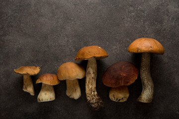 Autumn forest mushrooms lie on a brown background, nature