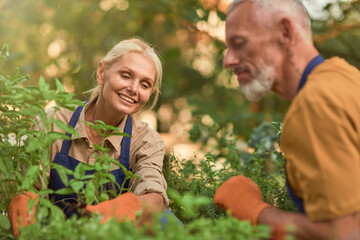 Middle aged caucasian couple gardening together