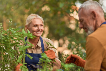 Naklejka na ściany i meble Happy middle aged caucasian woman working in garden