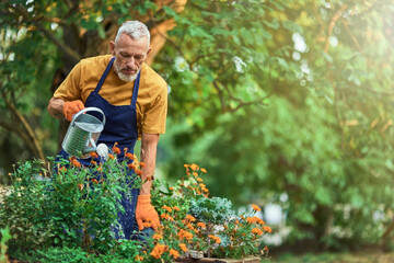 Handsome middle aged caucasian farmer watering flowers
