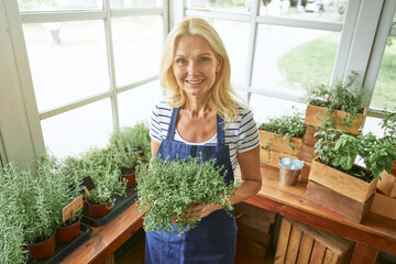 Business woman holding pot with growing spicy herbs © Kostiantyn