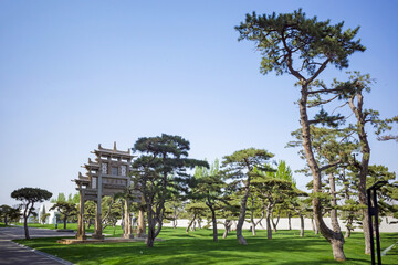 traditional archway building and pine tree in the garden