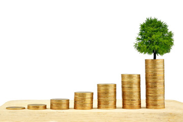 A tree growing on a coin step increase on white background.. Business concept.