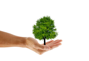 Hand holding a tree on white background. save the earth concept.