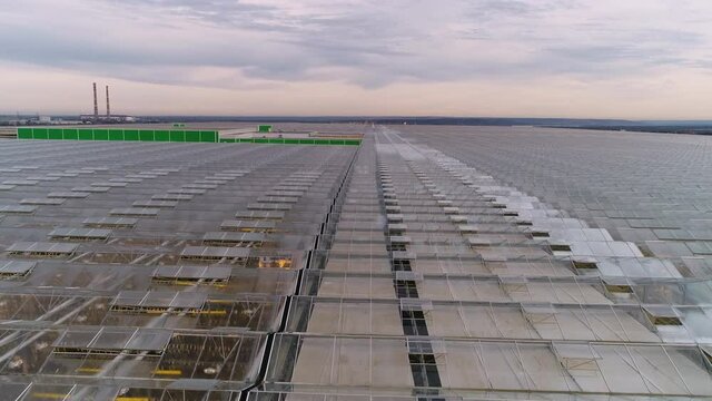 Flying over the greenhouse at sunset on a warm day