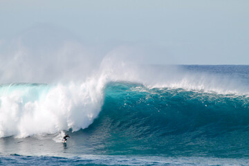 Australian surfer descending a antigang wave at Coogee beach between the beaches of Bondi and Maroubra south of Sydney Australia