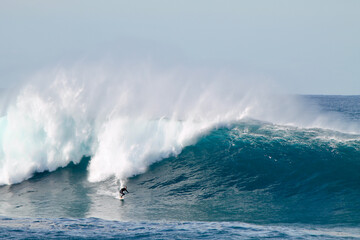 Australian surfer descending a antigang wave at Coogee beach between the beaches of Bondi and Maroubra south of Sydney Australia