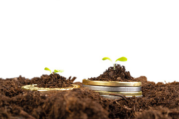 Coins stack of money and growing plant, financial concept