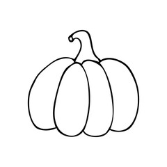 Pumpkin doodle illustration. Vector hand drawn halloween and autumn element.