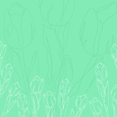 Vector line floral background with tulips