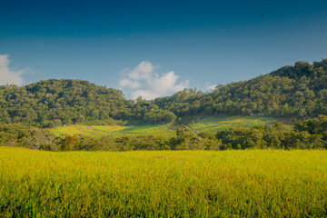 Landscape of Flores Indonesia