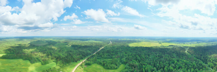 summer forest top view drone, background green trees panorama landscape
