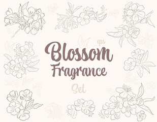 Vector vintage Set Blossom Fragrance. Elements of branches with Spring blossom. For Textile, card, invitation design.