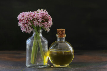 Obraz na płótnie Canvas valerian and oil in a bottle (Valeriana officinalis)