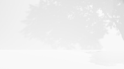 3D Rendering of empty white wall with shadow from tree leaves. Blank pedestal area for product display or background
