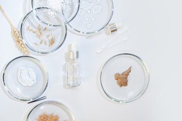 Eco-friendly cosmetics, oils and natural ingredients. Environmental concept