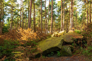 Pile of stones in the autumn forest