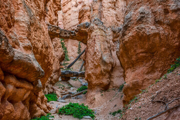A natural rock formation of Red Rocks Hoodoos in Bryce Canyon National Park, Utah