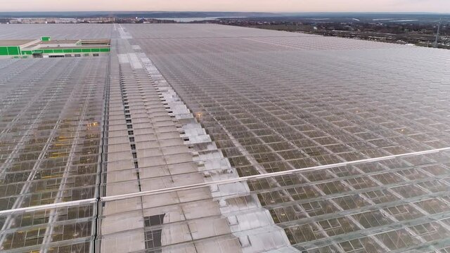 Evening flight over the greenhouse on a warm day