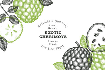Hand drawn sketch style cherimoya banner. Organic fresh fruit vector illustration. Engraved style botanical design template.