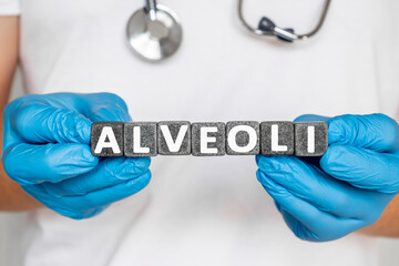 ALVEOLI - word from stone blocks with letters holding by a doctor's hands in medical protective...