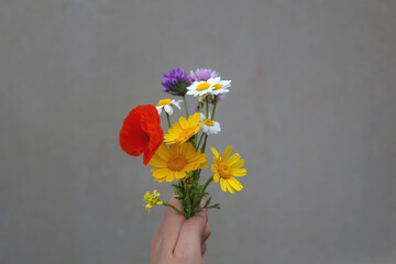 Hand holding various colorful picked flowers. Selective focus.