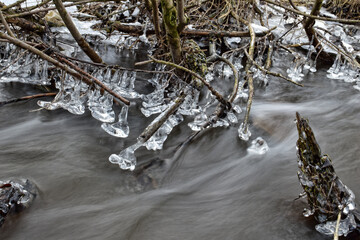 Ice mushrooms