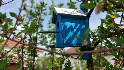 Naklejka na ściany i meble blue birdhouse on a tree branch