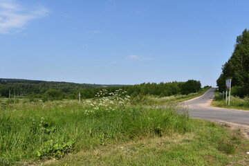 asphalt road in a green field