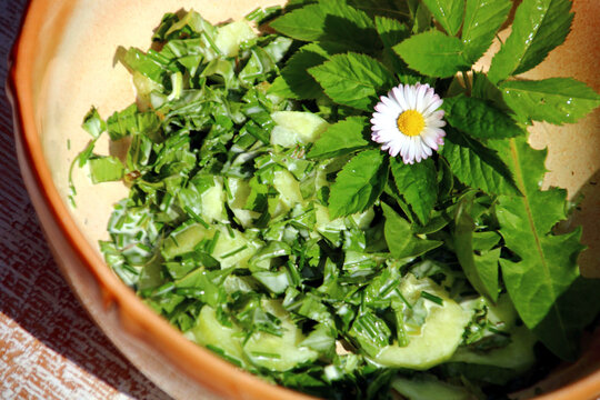 gesunder salat mit wildkr&auml;uter