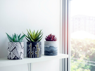 Beautiful unique DIY painted concrete pot.