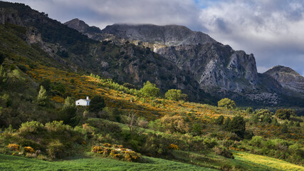 Fototapeta premium North face of the Sierra Prieta mountains, near the Sierra de las Nieves national park in Malaga. Spain