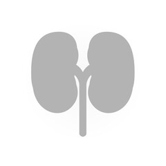kidney icon on a white background, vector illustration