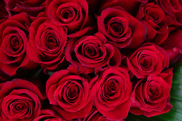 Bouquet of red roses with orange bow.
