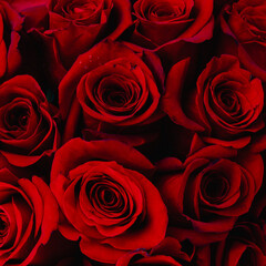 Bouquet of red roses with orange bow.